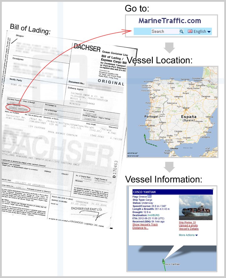 Sea Freight Shipment Cargo Tracking from China Details